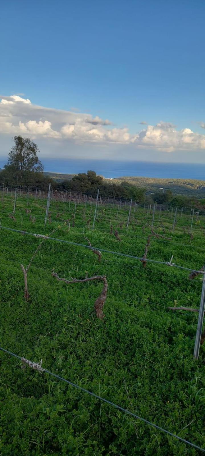 Alojamento de Turismo Rural Su Tiresi
