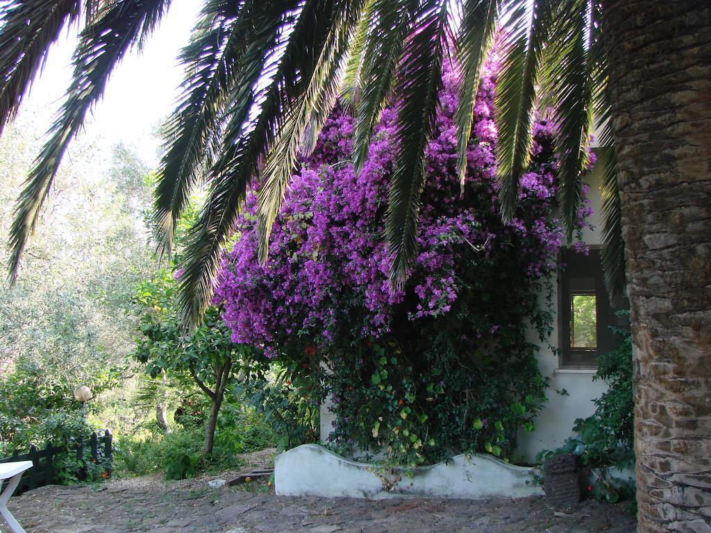 Su Tiresi * Cala Gonone