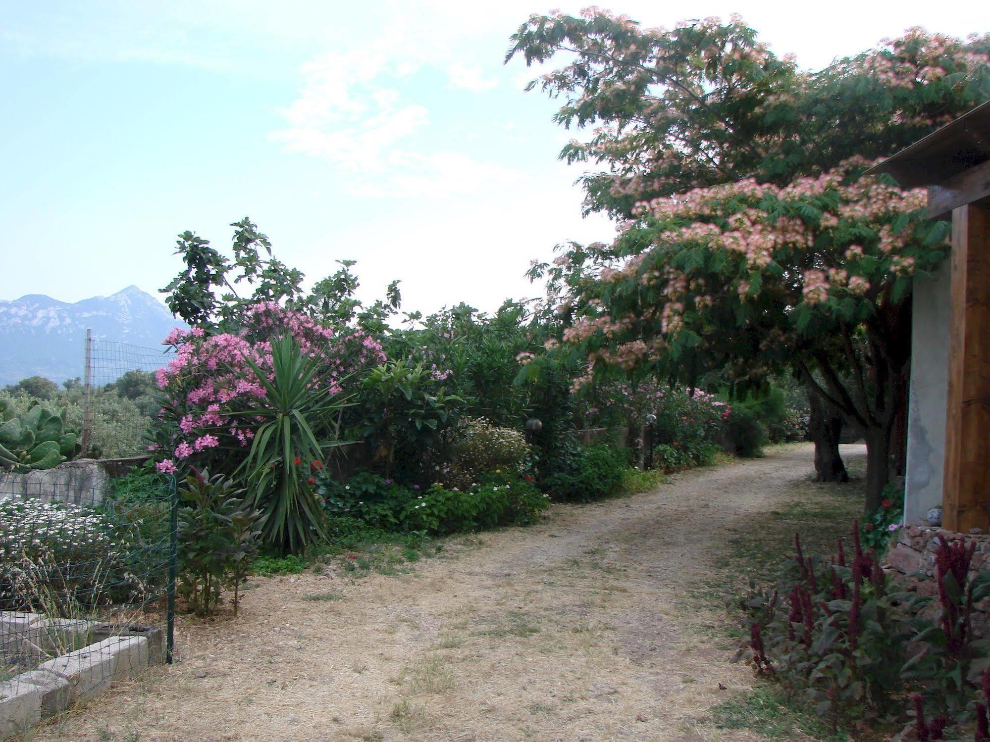 Alojamento de Turismo Rural Su Tiresi
