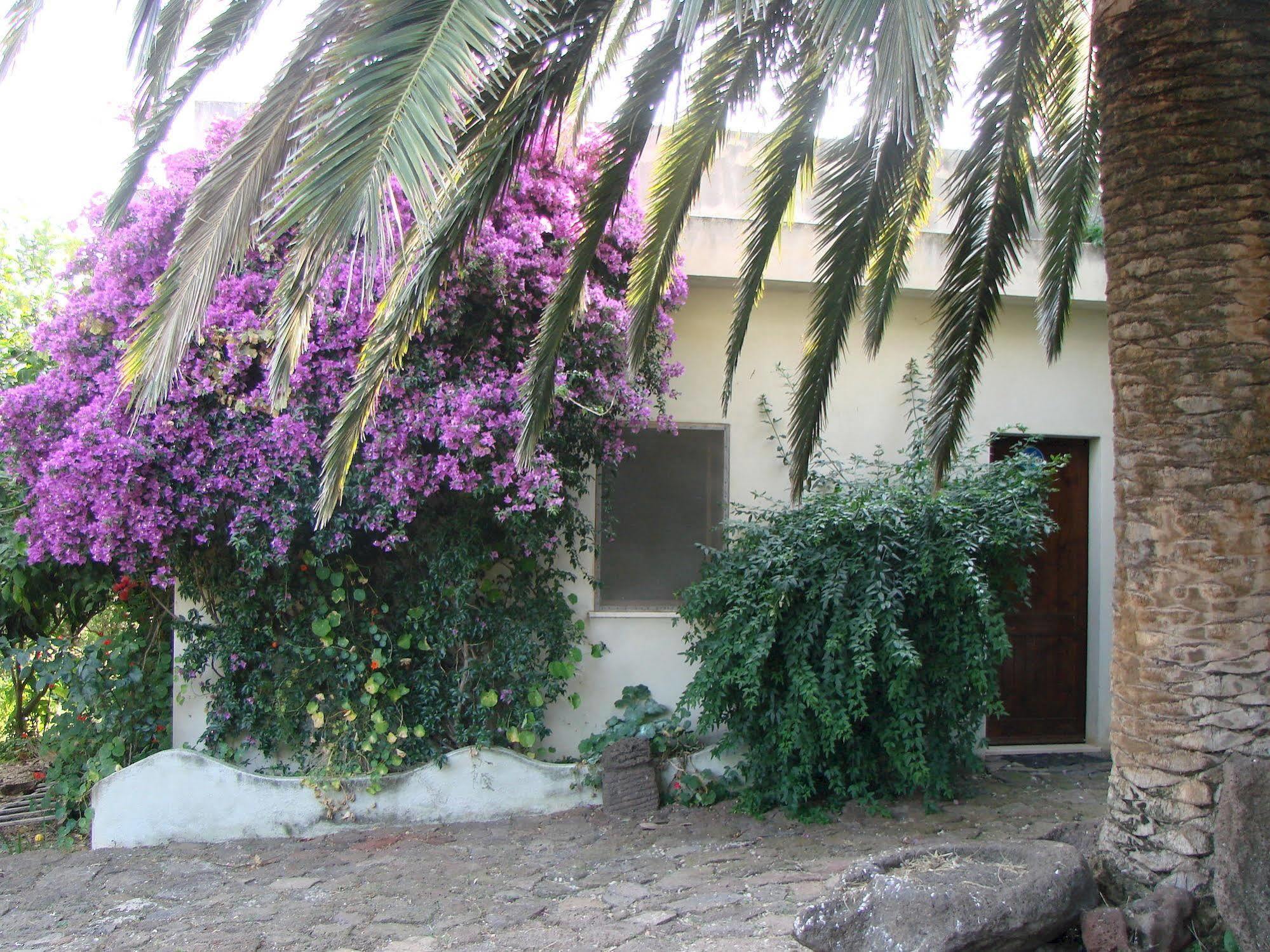 Su Tiresi Agroturismo *