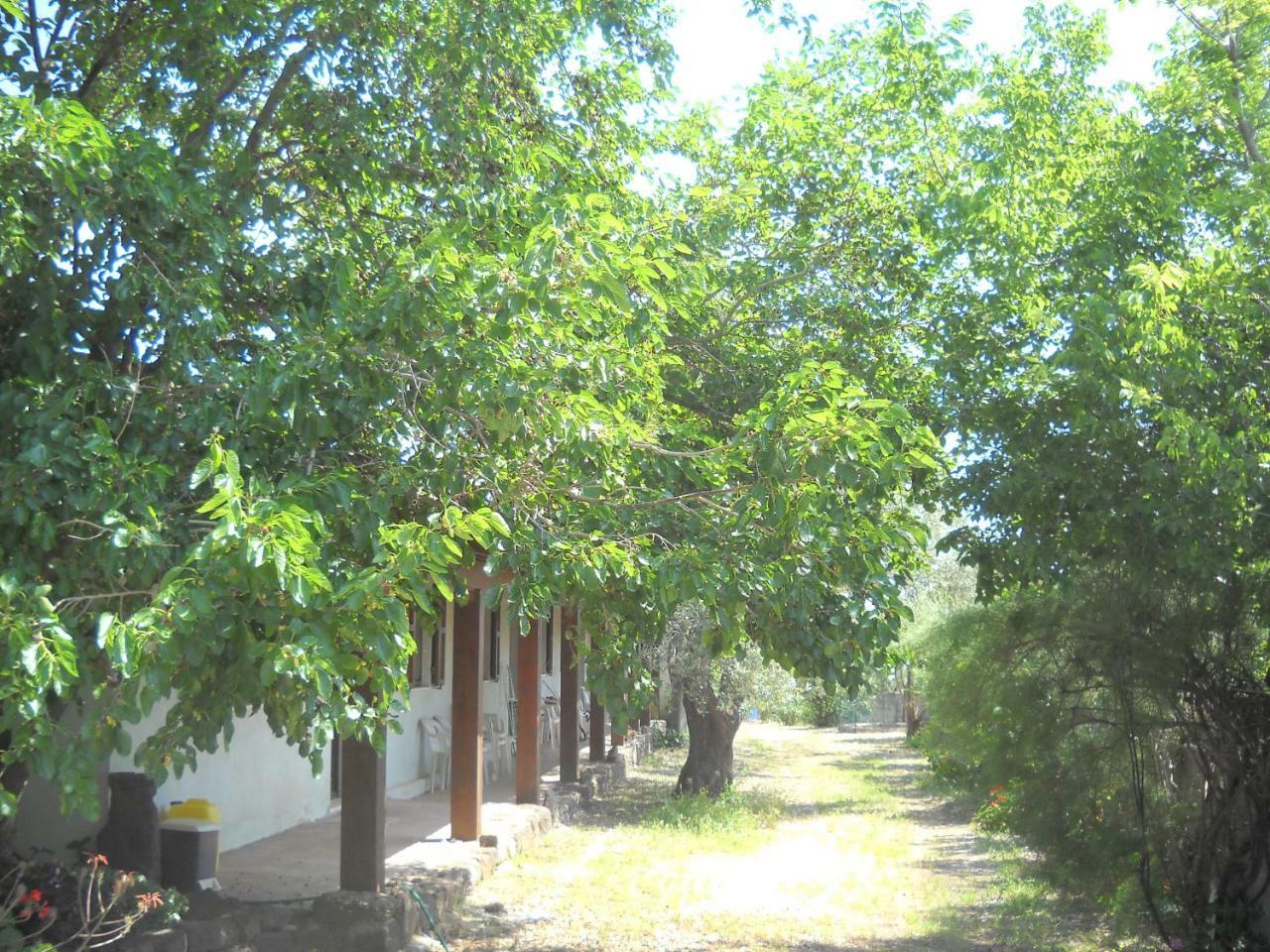 Agroturismo Su Tiresi *