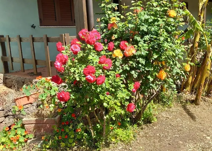 Agriturismo Su Tiresi
