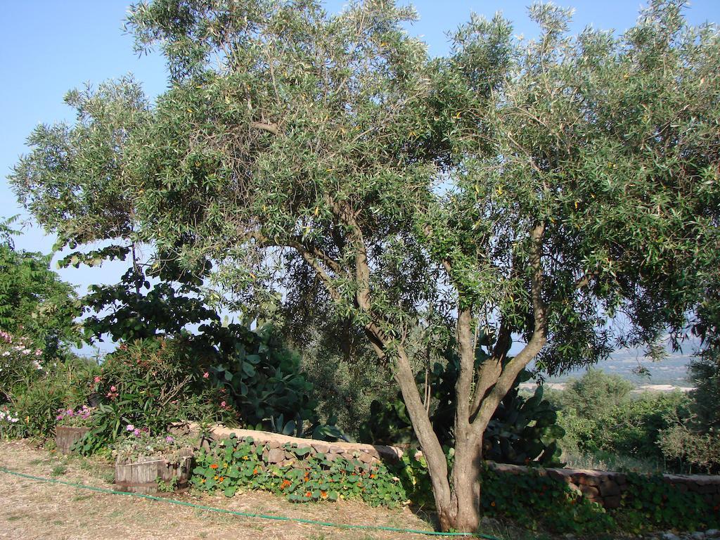 Su Tiresi Bauernhof