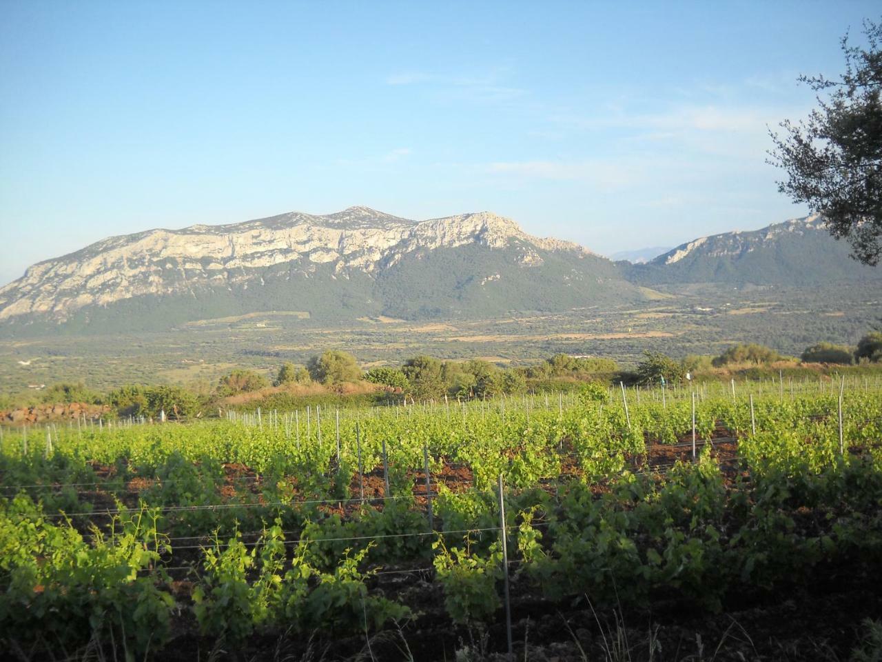 Su Tiresi Bauernhof Cala Gonone